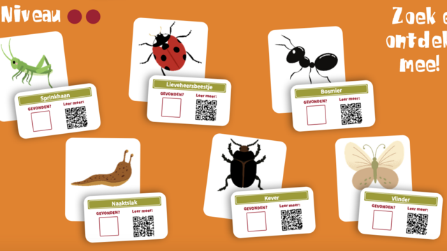 Ontdek mee! Dierenkaartjes met daarop een sprinkhaan, lieveheersbeestje, bosmier, naaktslak, kever en vlinder.. Op elk kaartje staat "Gevonden" met daaronder een checkbox en "Lees meer" met een QR-code